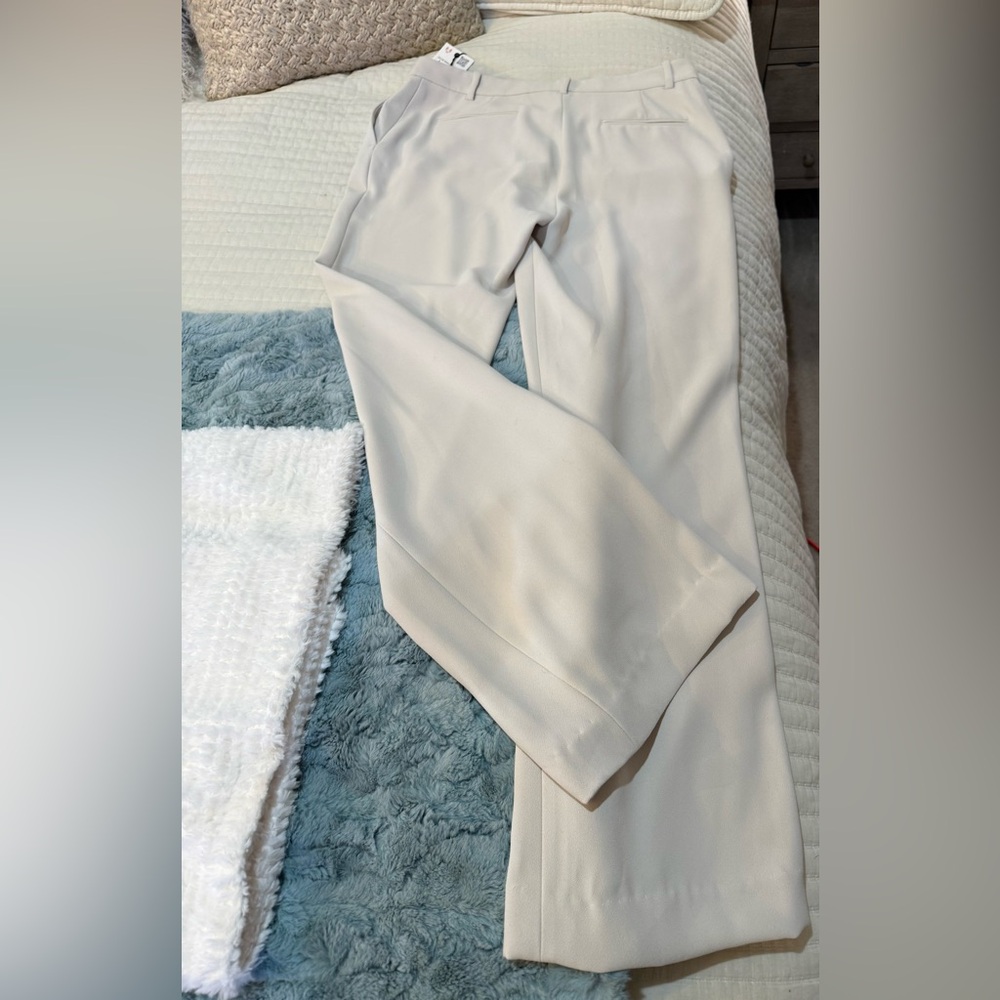 Zara Cream Wide Leg Pants NWT Size Large - Picture 2 of 8